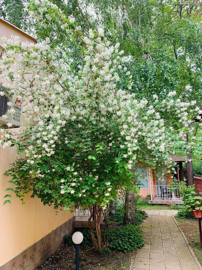 Holiday Village Interpark Kranevo Εξωτερικό φωτογραφία